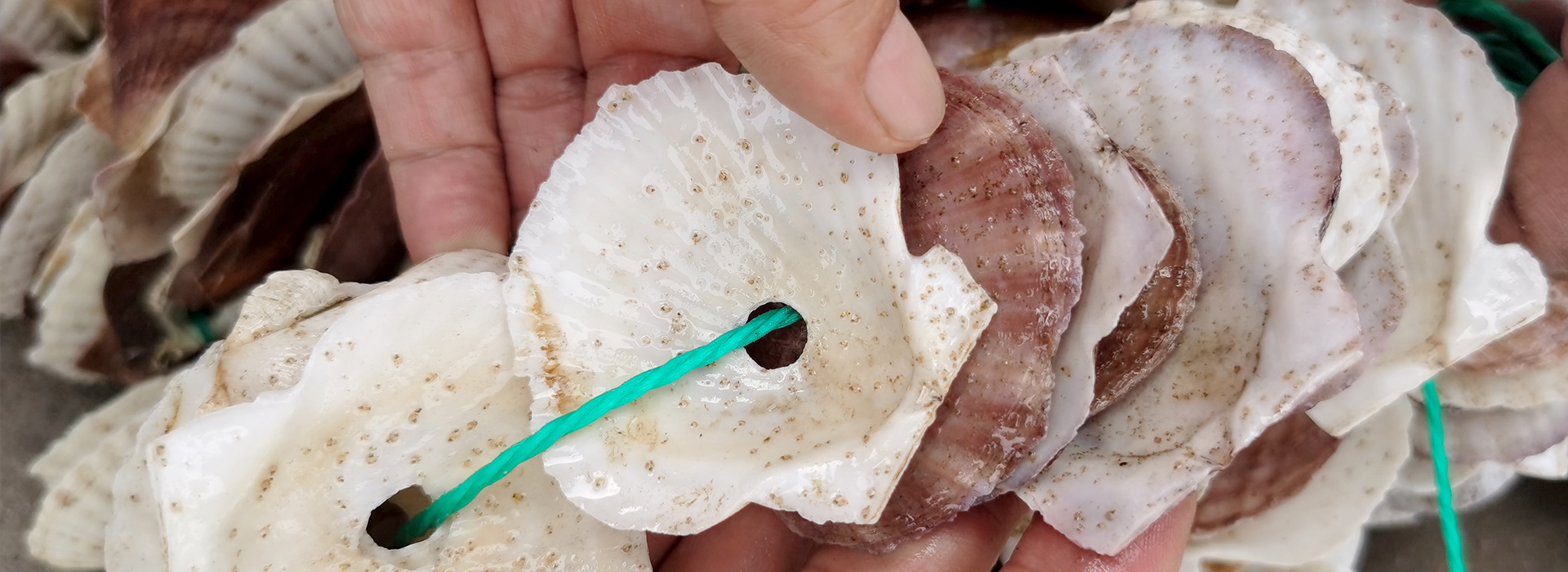 堅(jiān)持以市場(chǎng)為導(dǎo)向，以科技為根本，以創(chuàng)新為源泉，以品質(zhì)為生命